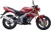 2010 Veli VL 250GS photo